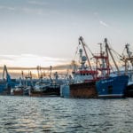 Government’s post-Brexit fisheries proposals are vague on how they will achieve world leading sustainable fisheries say conservationists