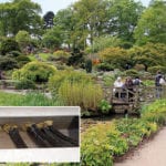 Sealant chosen for garden