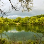 Systems to monitor algae in Belgium