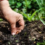 Policy-makers cannot afford to ignore soil sustainability