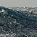 Negotiations open in world’s first legally-binding treaty to protect the high seas