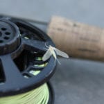 Plastics found in fifty percent of freshwater insects