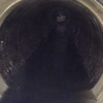 Large-diameter pipe lining plays part in wildlife revival