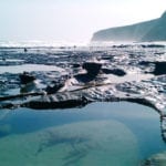 Conference aims to collate lessons Beach