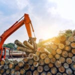 Long-lived wood products are significant carbon capturers, says study