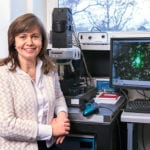 How dangerous is microplastic?