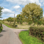 Plant hedges to combat near-road pollution exposure, suggests study