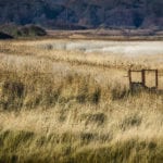 Protection pledge requested for Suffolk nature reserve, as Sizewell C consultation opens