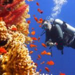 Technology aims to boost environmental biosecurity in Great Barrier Reef