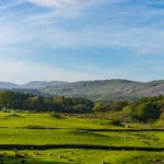 New scheme could make developers help reverse wildlife declines