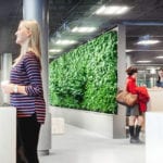 “Not just another living wall”: Product uses AI and plants to improve indoor air