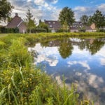 Why creating new ponds helps to protect the ecosystem