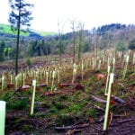 Technologies for removing CO2 from the atmosphere need to be integrated into climate policy in 2019, say national science academies across the EU