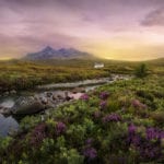 Conservation Finance Project aims to drive significant investment into Scotland’s natural environment