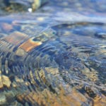 Project aims to improve understanding of the sources of plastic pollution in rivers