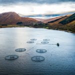 SEPA fish farm report published in international journal