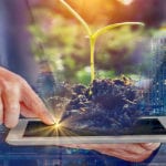 Using AI to better manage the environment could reduce greenhouse gas emissions, boost global GDP and create up to 38m jobs by 2030, says report