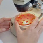 The fight against antimicrobial resistance bacteria resistance