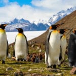 Ozone depletion driving climate change in Southern Hemisphere