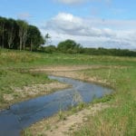 Improved sewage treatment has increased river biodiversity over past 30 years, says study