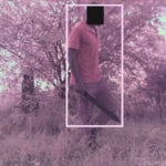 AI-based anti-poaching system trialled in Tanzania