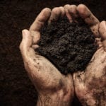 PAS 110 Complacency? Time to raise the bar, says organic waste firm