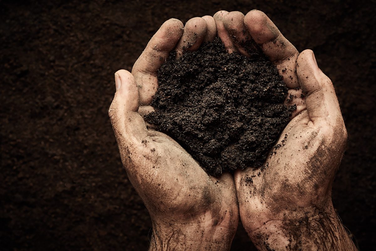 hands and soil