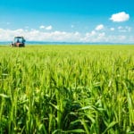 Threat to terrestrial ecosystems and food security detailed in IPCC land use report