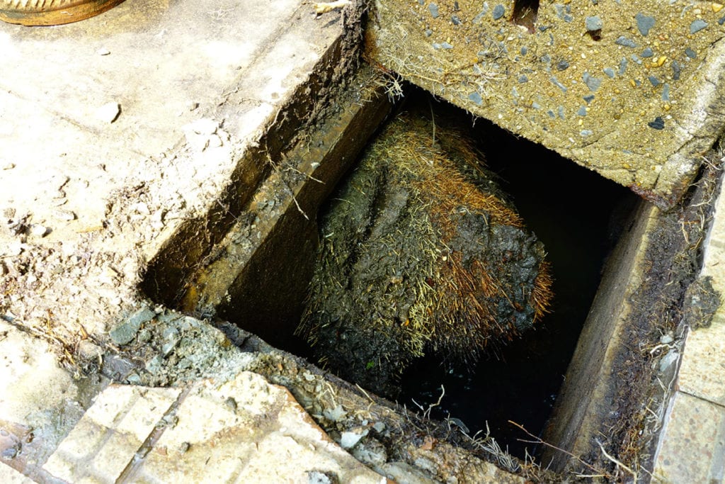 Firms 'rooting' for a reduction in blocked pipes | Envirotec