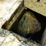 Firms ‘rooting’ for a reduction in blocked pipes blokced-drainage-pipe