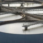 “Brazilian bugs” treat ammonia at utility brazilian-bugs-treatment-utility