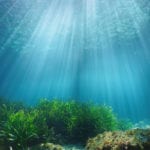 UN report: Ocean-based climate action could deliver a fifth of emissions cuts needed to limit temperature rise to 1.5°C