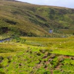 Widespread drying of European peatlands in recent centuries