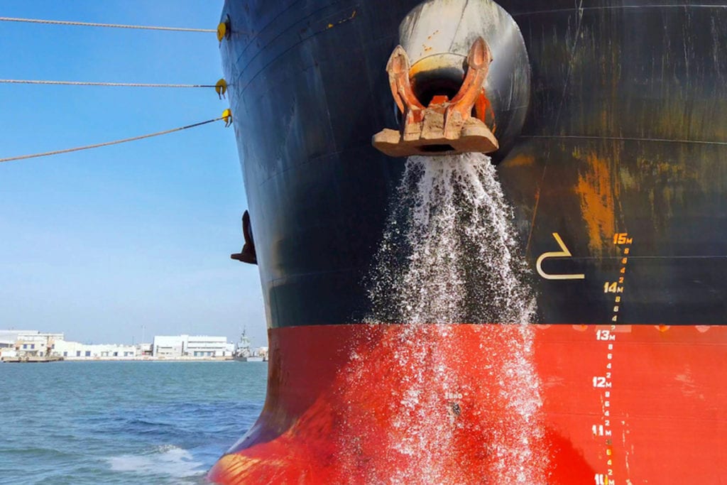 All ballast water organism sizes should be tested, advises monitoring