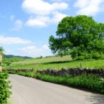 DEFRA use satellite technology to monitor oak and ash dieback throughout England