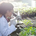 Making biofuels from seawater rather than crude oil