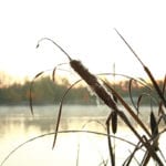 Event celebrates the mineral products industry’s contribution to conservation