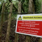 Specialist firm develops eco-solution for Japanese knotweed waste