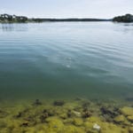 Two new techs to combat Baltic eutrophication get pre-commercialization boost