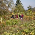 Gartenpark Garden Park Blumen Flowers_Jasmin Peschke 400px wide