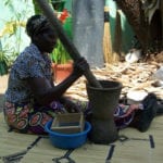 Research reveals key protein molecules associated with the water purification properties of Moringa seeds