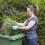 Councils could begin charging for garden waste, according to survey