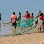 Climate change set to devastate regional fisheries and cause reef tourism revenue losses of over 90%