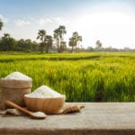 Asian uncooked white rice with the rice field background