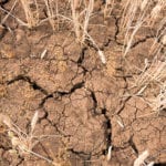 Humanity’s greatest threat: Cascading impacts of climate, biodiversity, food and water crises