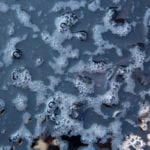 Coventry University and Severn Trent partner to convert waste ammonia into hydrogen