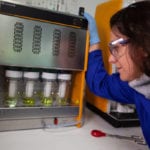 UK’s biggest green gas producer to launch biology consultancy