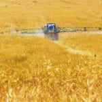 EU project results in new guide to promote biodiversity in agriculture farm field