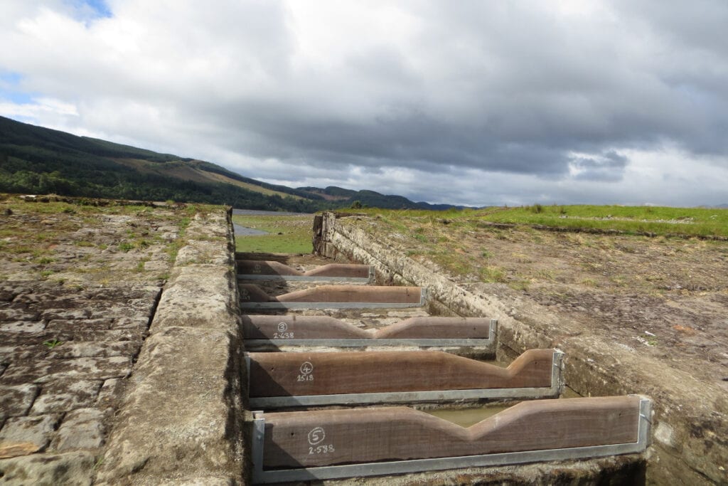 Utility completes £100k salmon ladder at Scottish freshwater reservoir