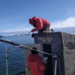 Real-time access to Antarctic tide data